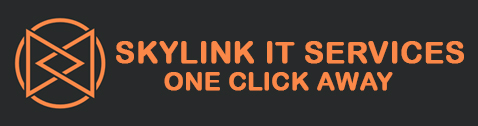 SkyLink IT service